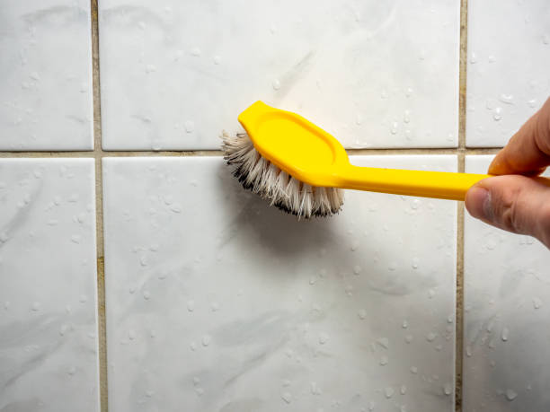 Best Mold Testing  in Gilbertsville, PA