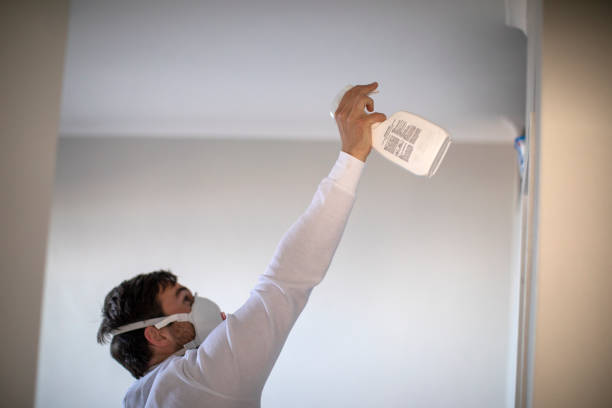 Best Mold Cleaning Services  in Gilbertsville, PA