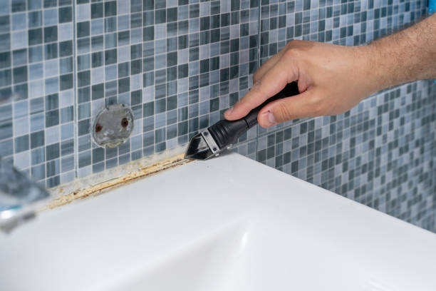 Best Mold Removal Near Me  in Gilbertsville, PA